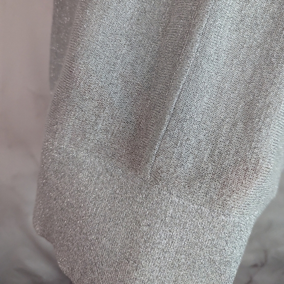 Talbots Short Sleeve Sweater Size Small Silver Sparkle Shimmer Metallic Knit Top - Picture 8 of 11